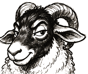 The ram, side-eye
